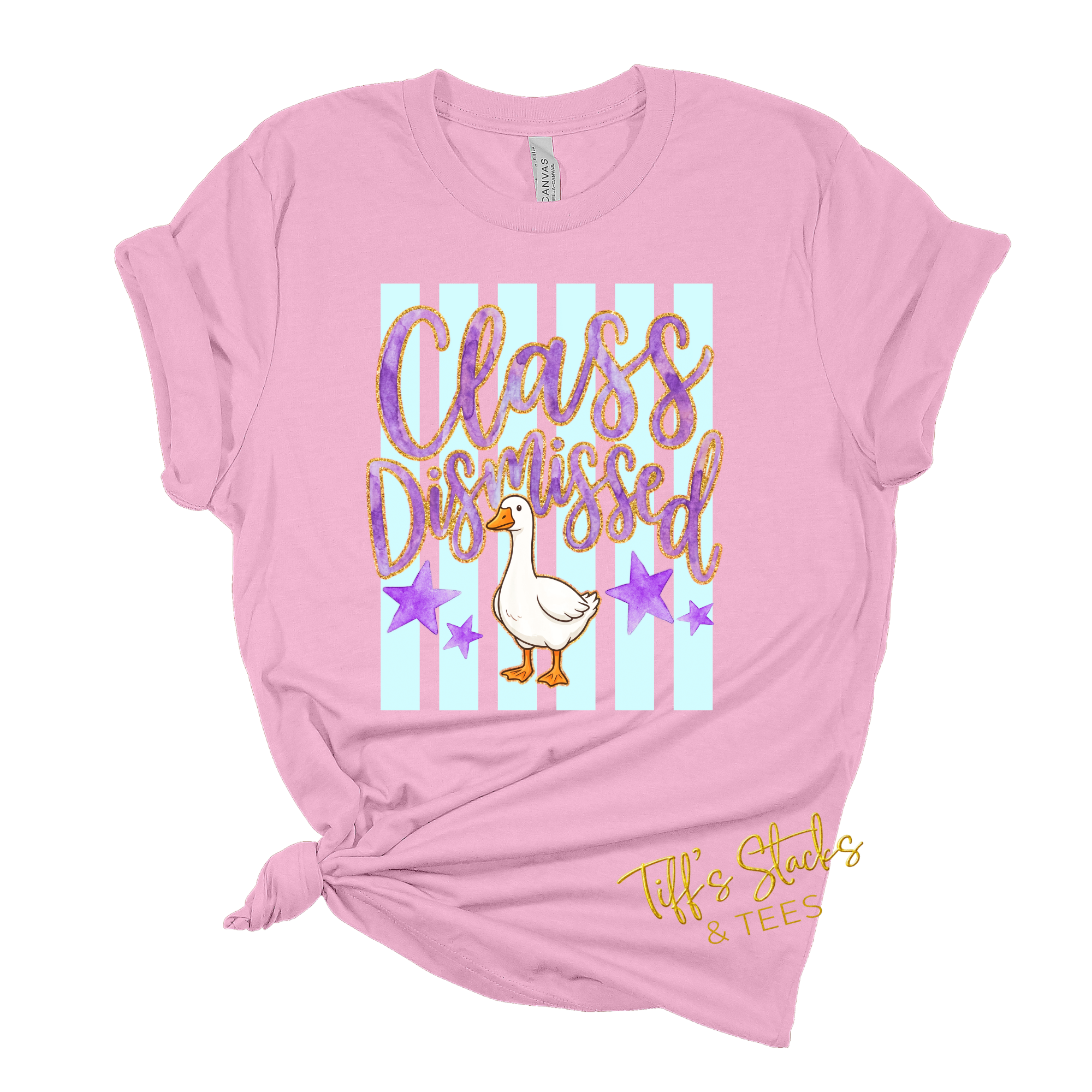 Class Dismissed Striped Goose