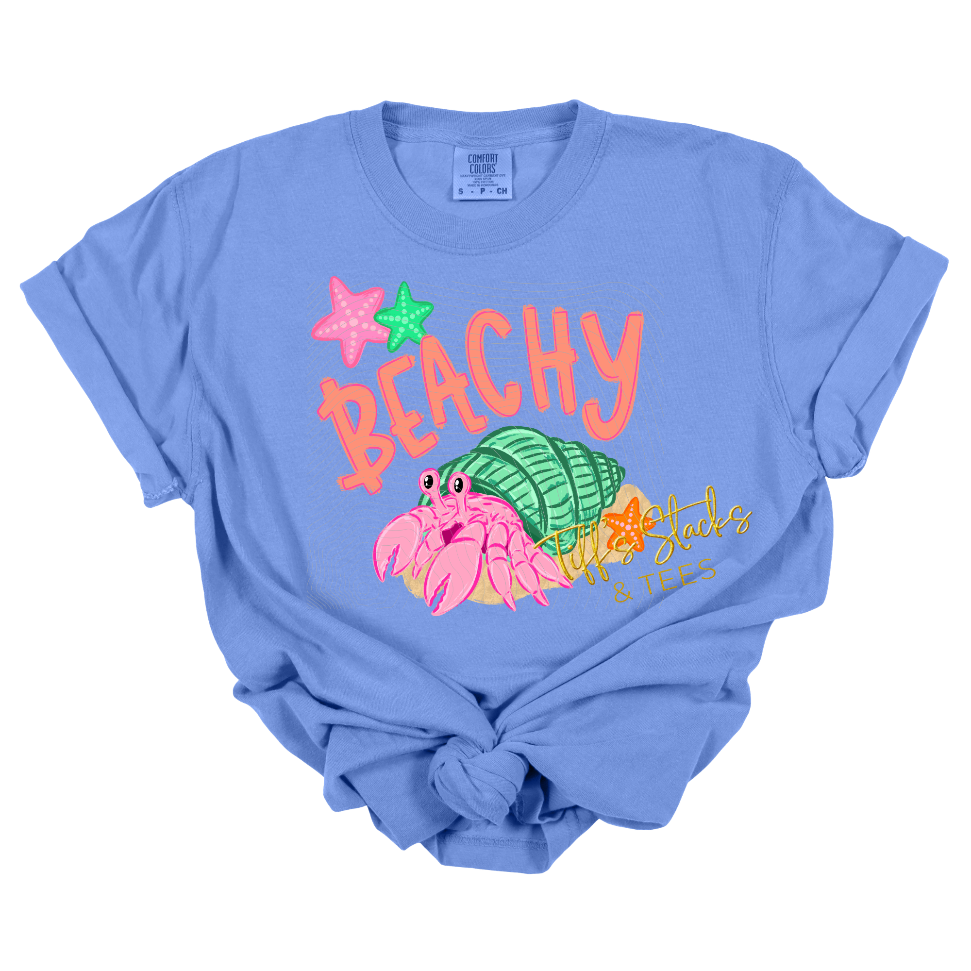 Beachy Hermit Crab