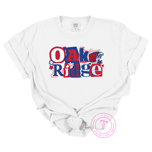 Oak Ridge War Eagles Grunge Paper Collage Youth