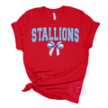 Stallions Gingham Coquette Youth