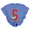 Snyder Stallions Vintage Mascot