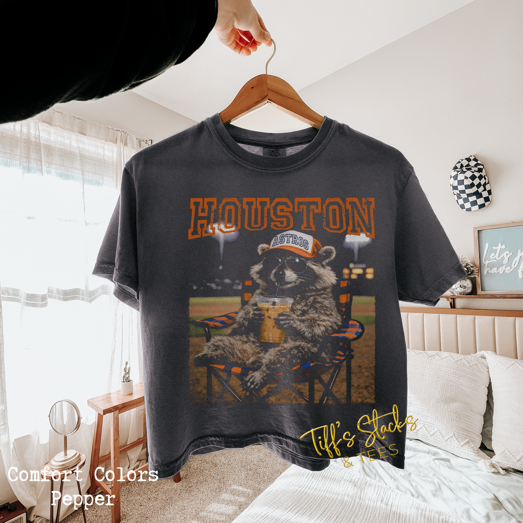 Houston Baseball Trash Panda