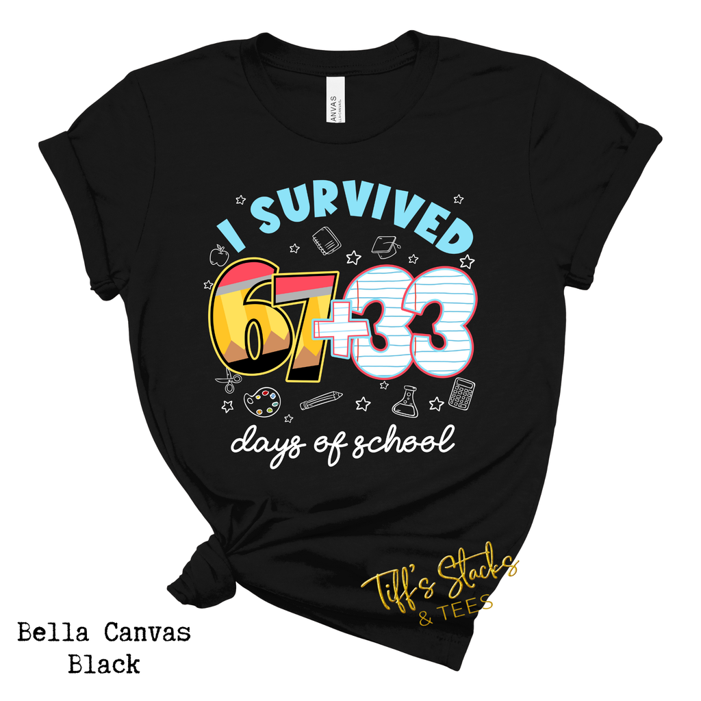 I Survived 67 + 33 Days of School Youth