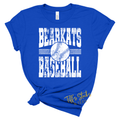 Bearkats Baseball Distressed