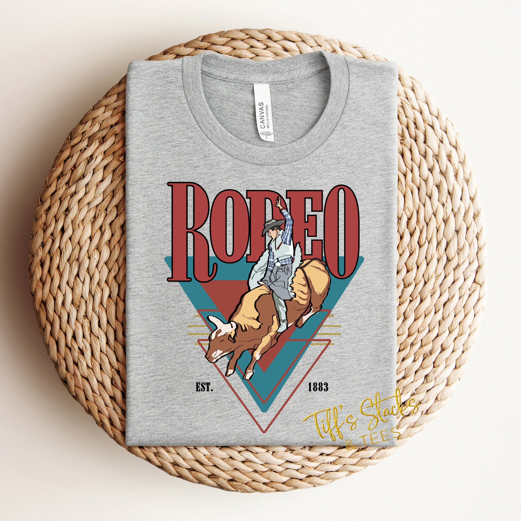 Rodeo Bull Rider