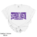 Stephen F. Austin Lumberjacks Distressed