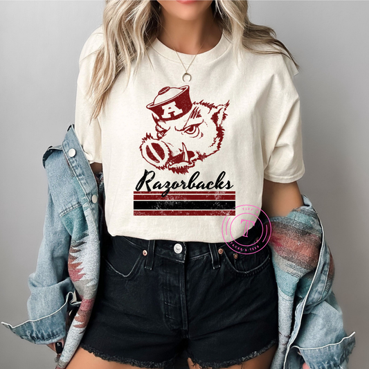 Arkansas Razorbacks Retro Stripe