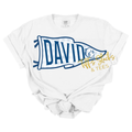 David Dolphins Gingham Pennant