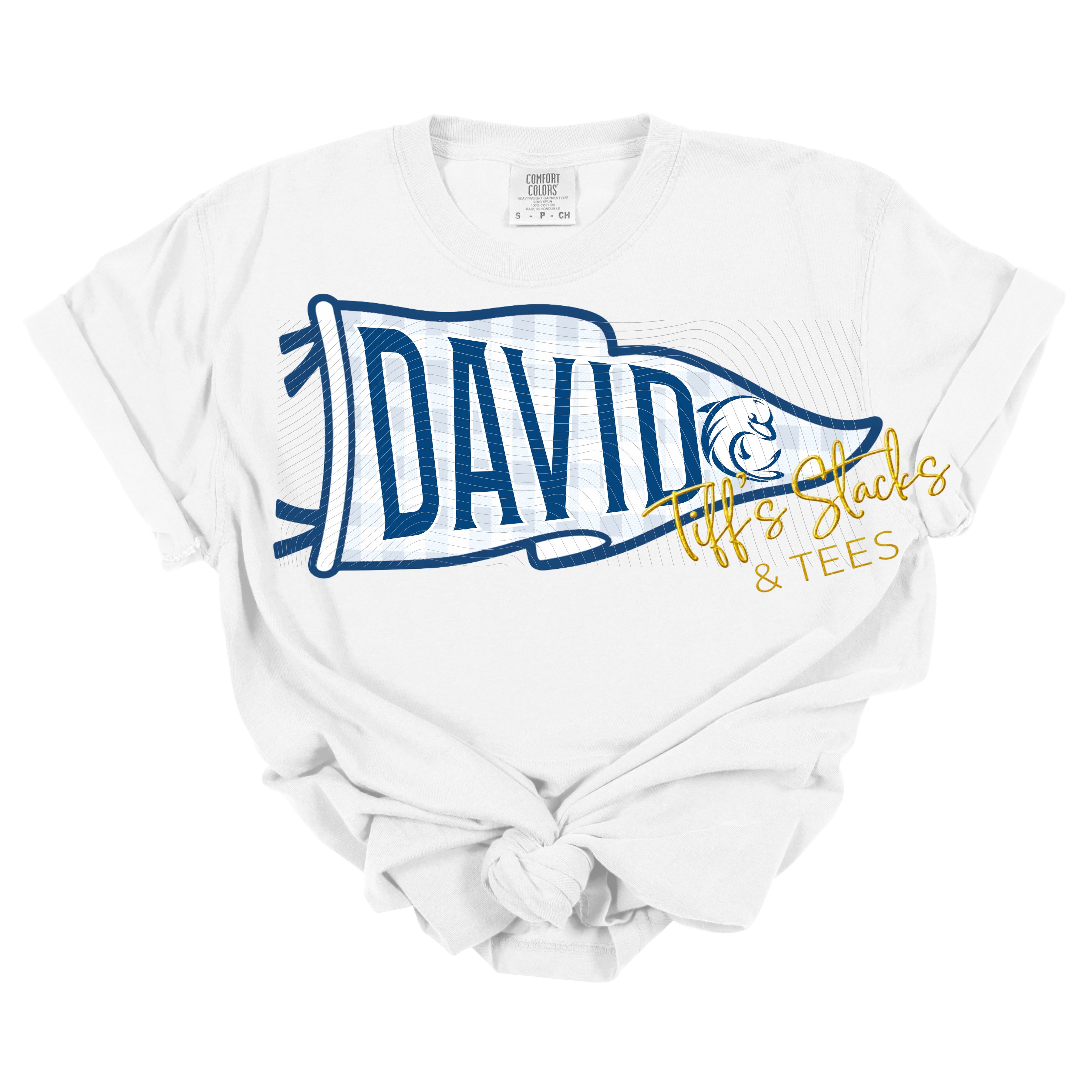 David Dolphins Gingham Pennant