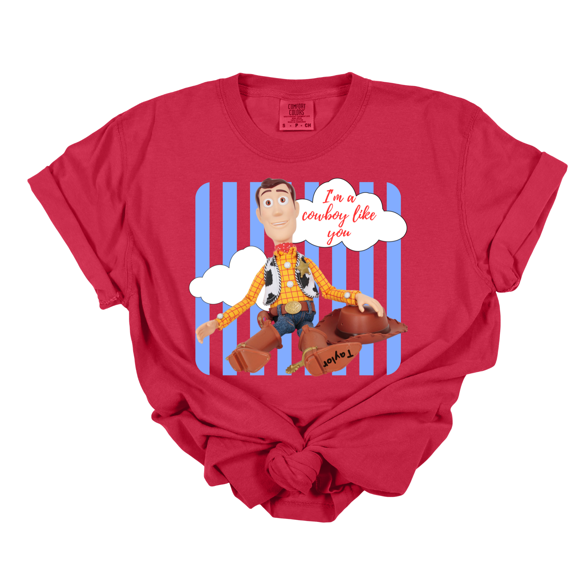 TS5 I'm a Cowboy Like You Youth