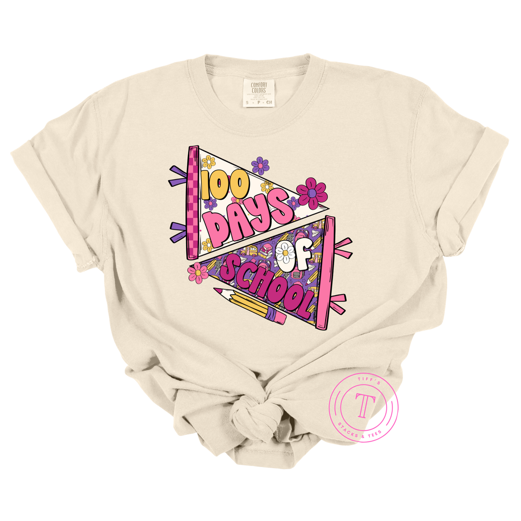 100 Days of School Pink Pennant