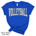 Volleyball Polka Dot