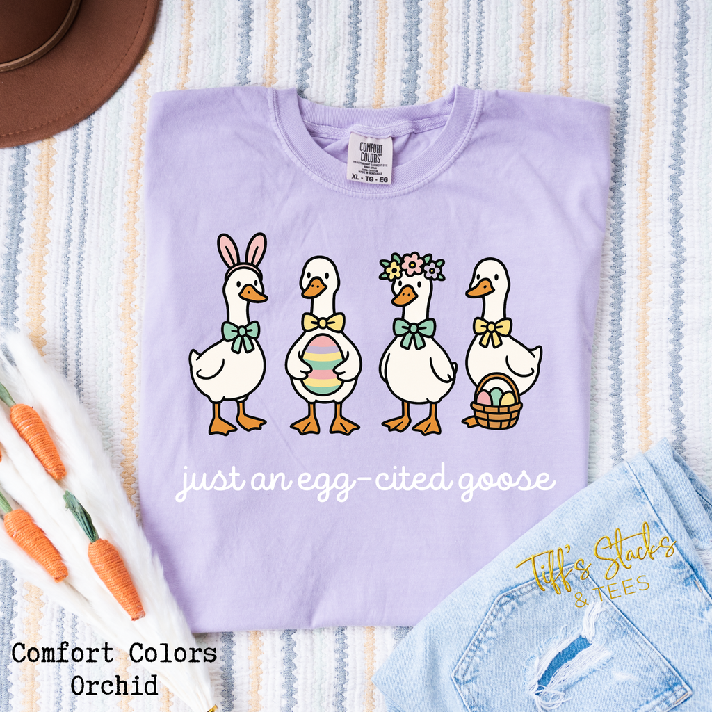 Just an Egg-Cited Goose
