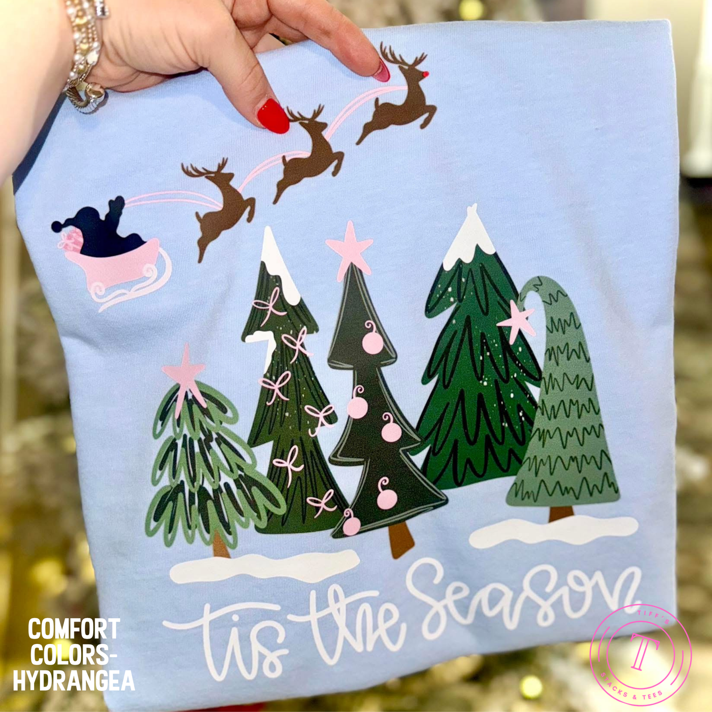 Tis the Season Santa w/ Sleigh