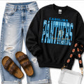 Panthers Striped Vintage