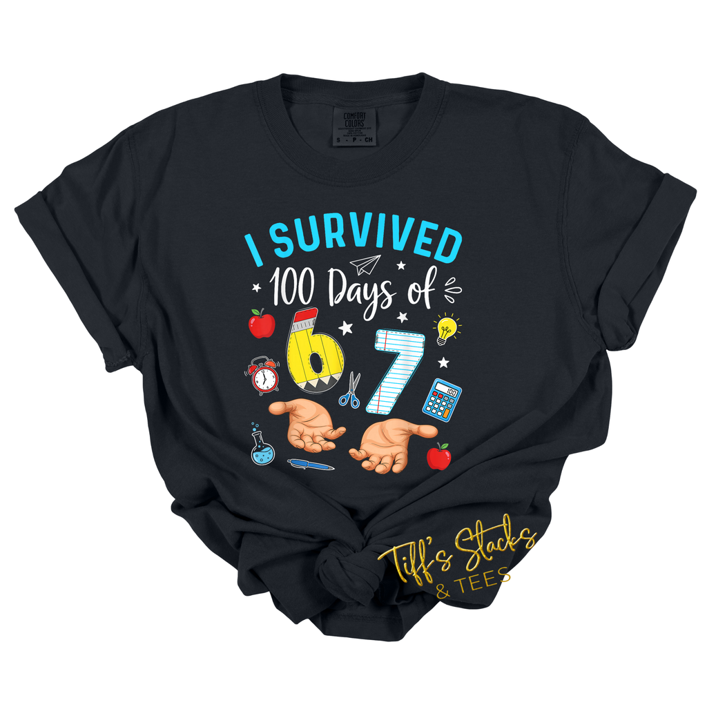 I Survived 100 Days of 6 7