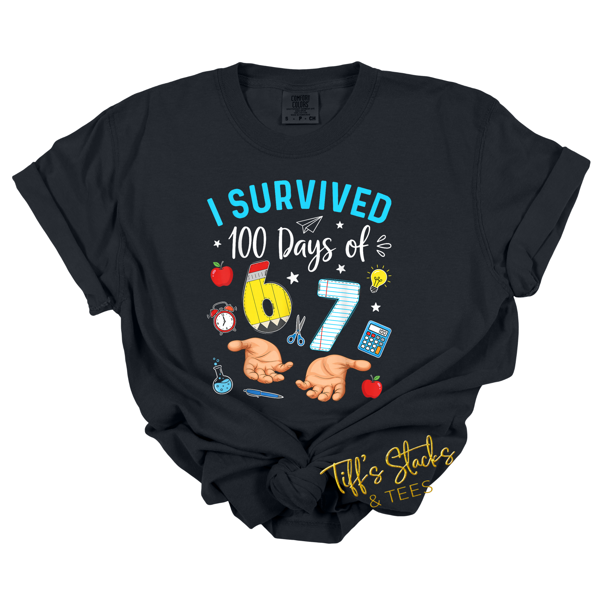 I Survived 100 Days of 6 7