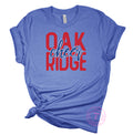 Oak Ridge Cheer Grunge
