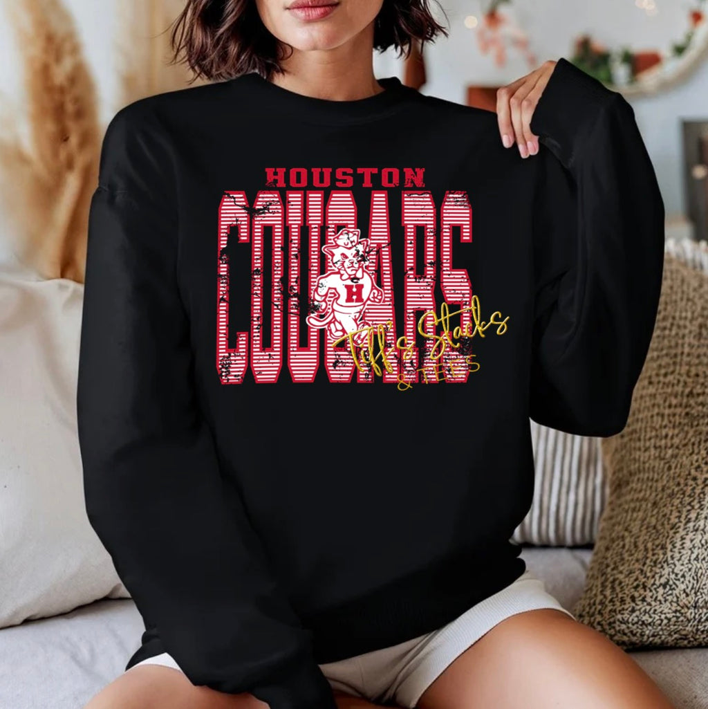 Houston Cougars Striped Vintage