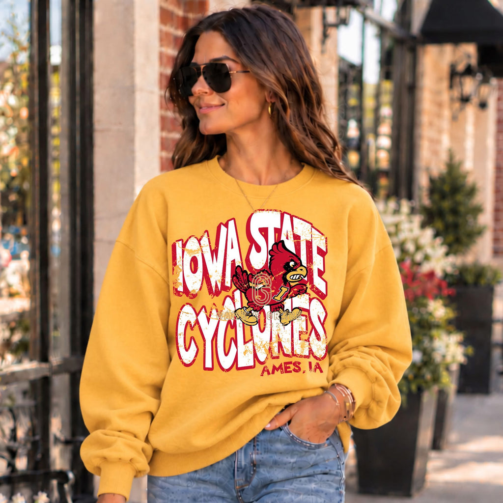 Iowa State Cyclones College Town Collection